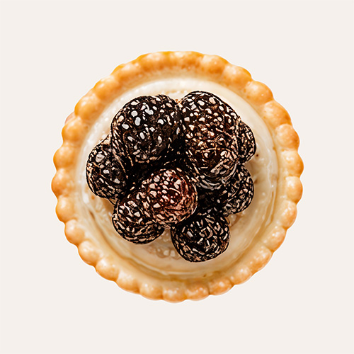 dp-tart-01